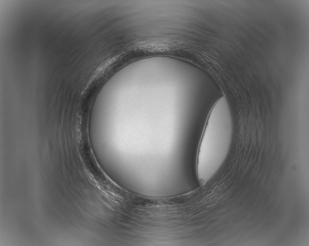 X0000060260400200510281014
