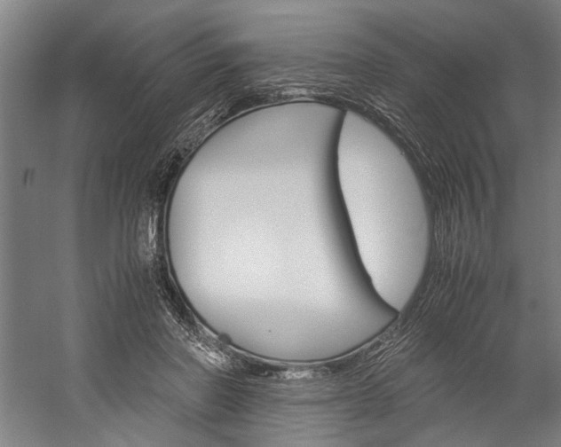 X0000060260406200510281014