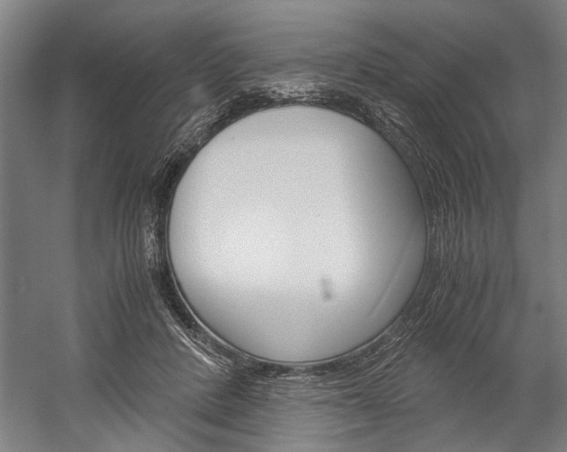 X0000060260408200510281014