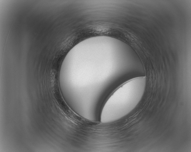 X0000060260412200510281014