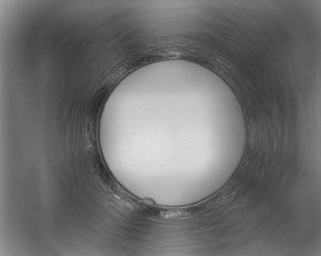 X0000060260414200510281014