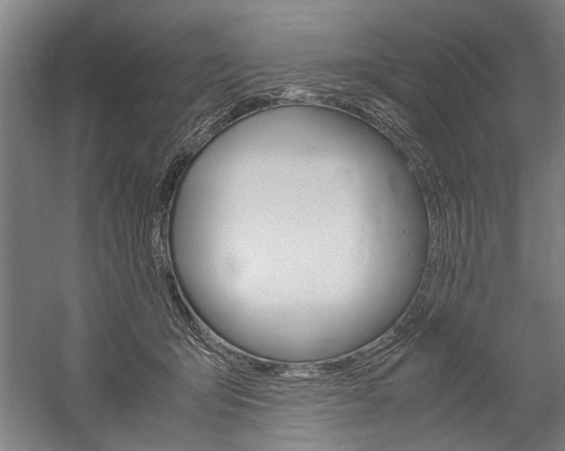 X0000060260415200510281014