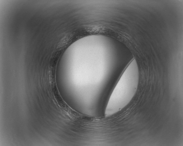 X0000060260416200510281014