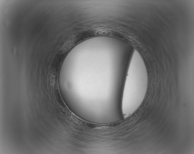 X0000060260417200510281014