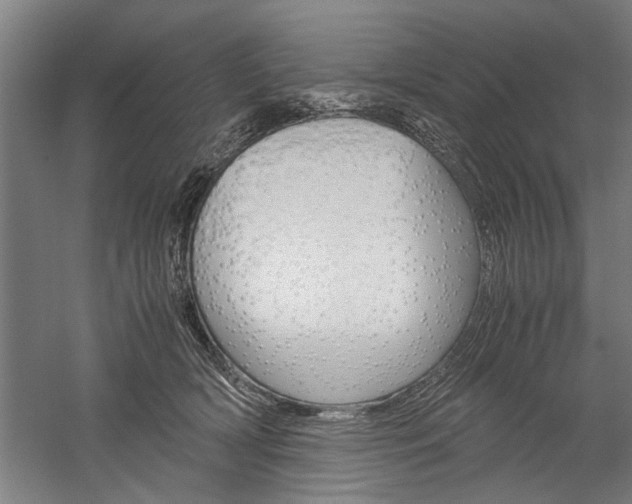 X0000060260418200510281014