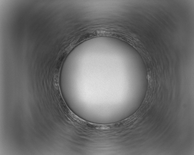 X0000060260419200510281014