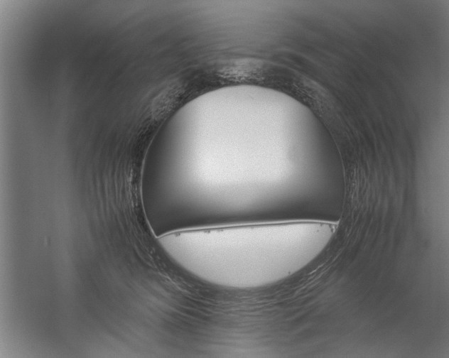 X0000060260420200510281014