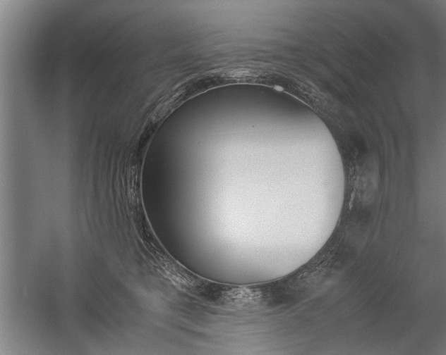 X0000060260421200510281014