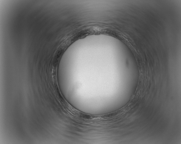 X0000060260423200510281014