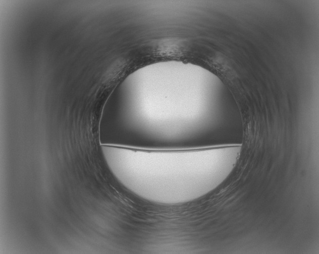X0000060260424200510281014