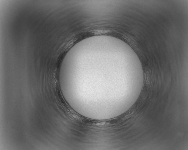 X0000060260426200510281014