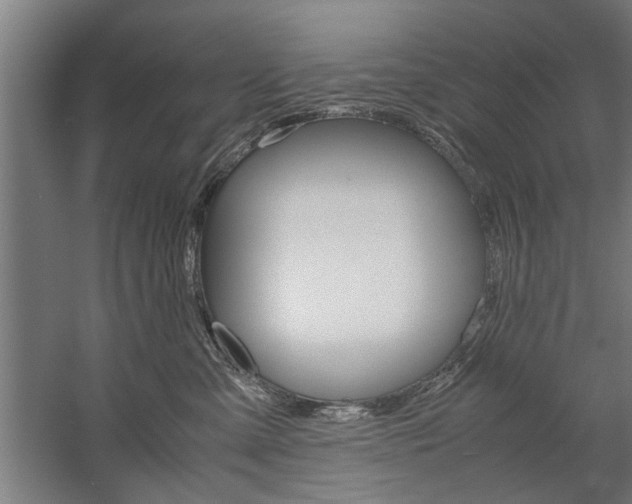 X0000060260427200510281014
