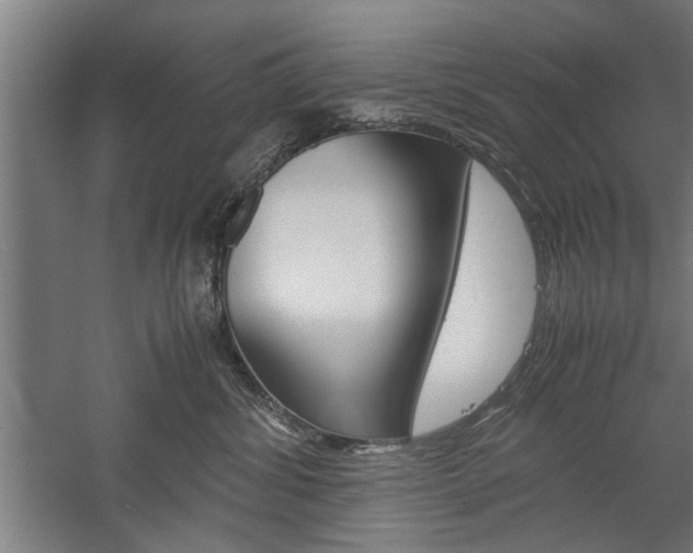 X0000060260428200510281014