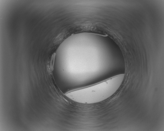 X0000060260432200510281014