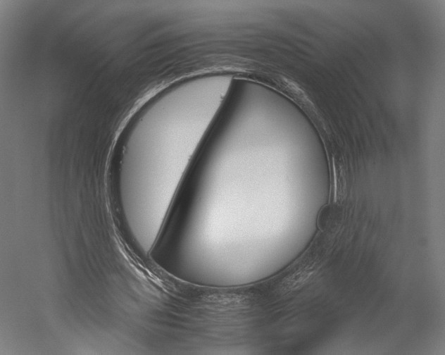 X0000060260435200510281013