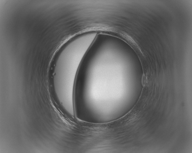 X0000060260436200510281013