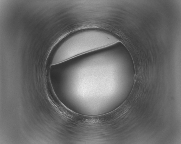 X0000060260440200510281013