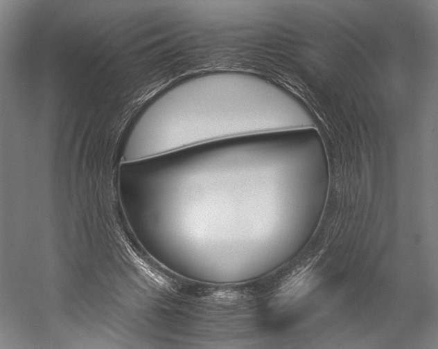 X0000060260441200510281013