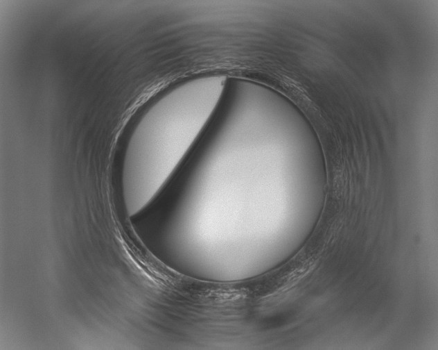 X0000060260443200510281013