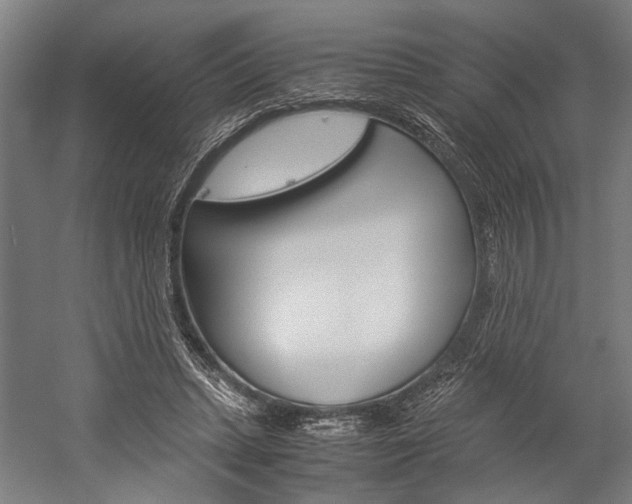 X0000060260447200510281013