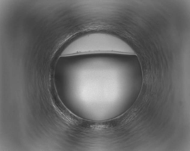 X0000060260448200510281013