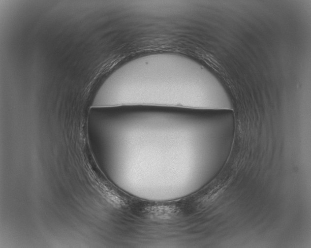X0000060260449200510281013