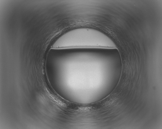 X0000060260450200510281013