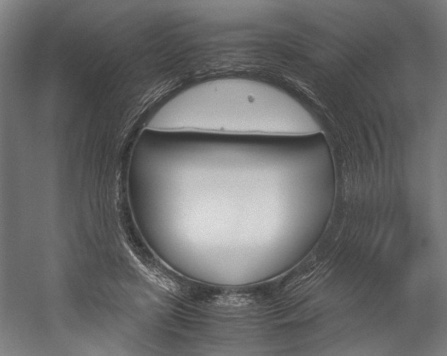 X0000060260451200510281013