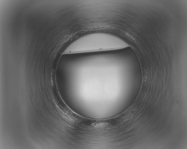 X0000060260452200510281013