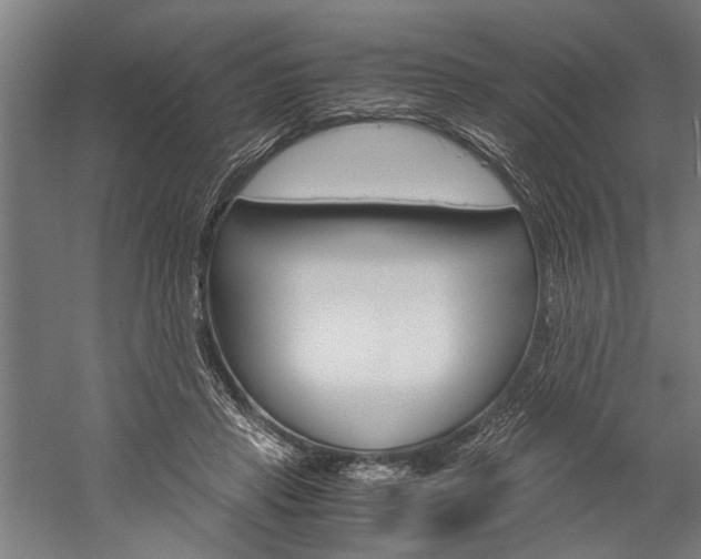 X0000060260453200510281013