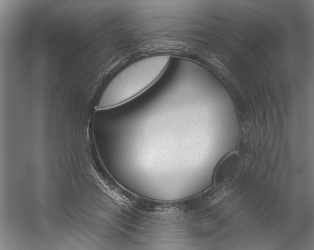 X0000060260454200510281013