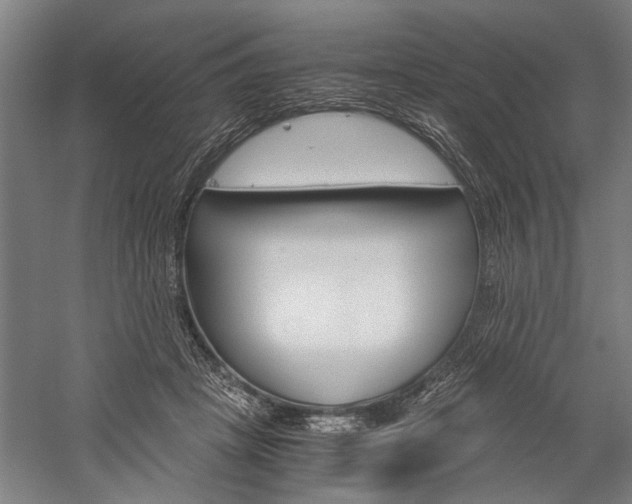 X0000060260457200510281013
