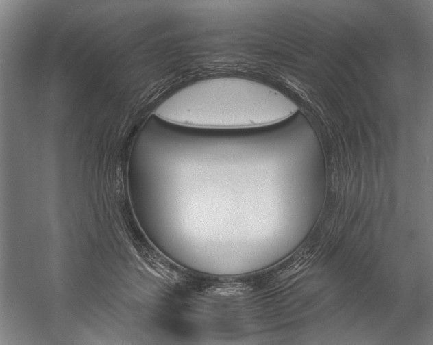 X0000060260459200510281013
