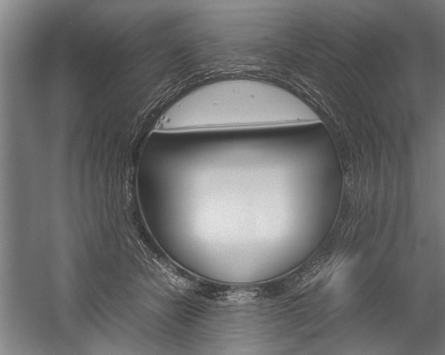 X0000060260462200510281013