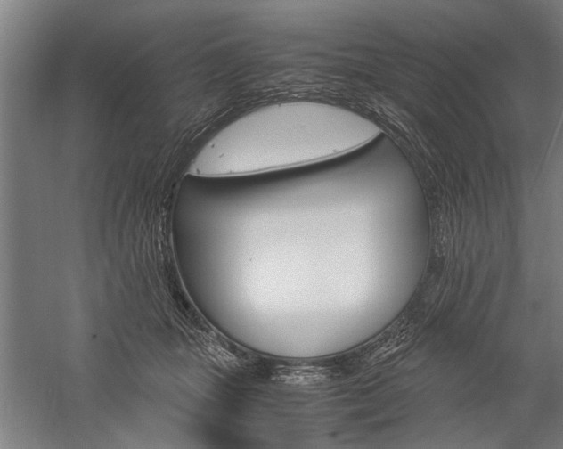X0000060260463200510281013