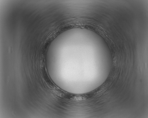 X0000060260464200510281013
