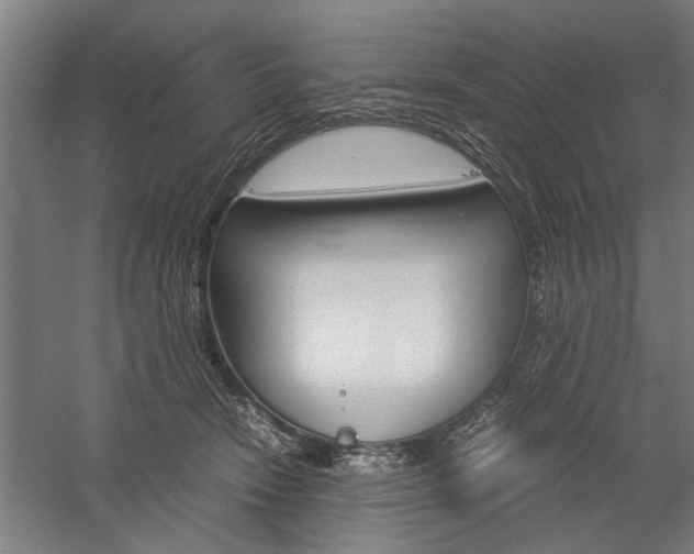 X0000060260466200510281013