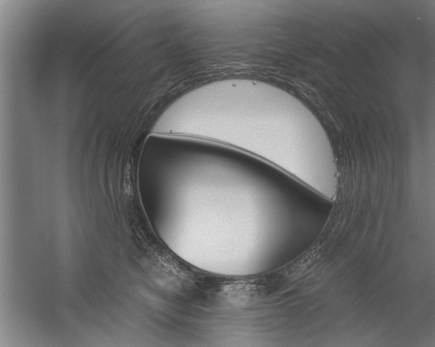 X0000060260470200510281013