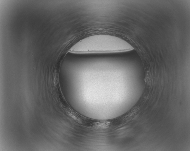 X0000060260474200510281013