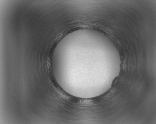 X0000060260476200510281013