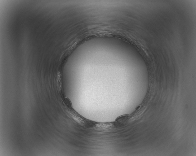 X0000060260480200510281014