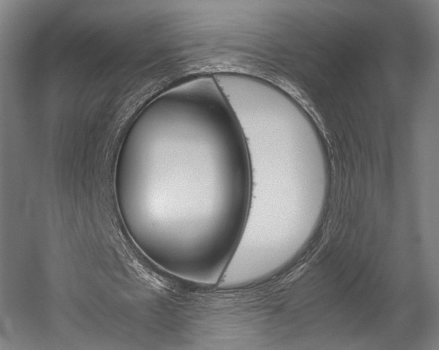 X0000060260481200510281013