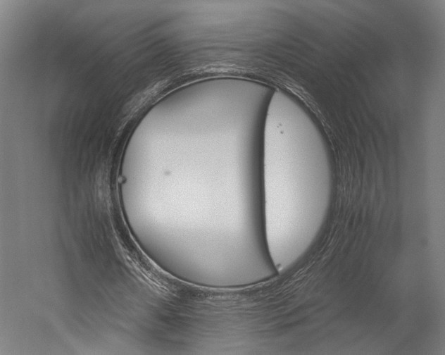 X0000060260482200510281013