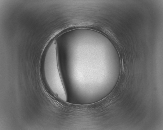 X0000060260483200510281013