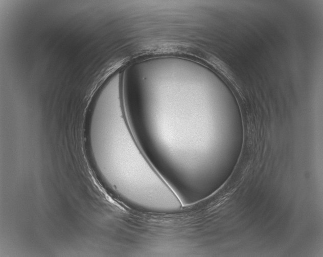 X0000060260485200510281013