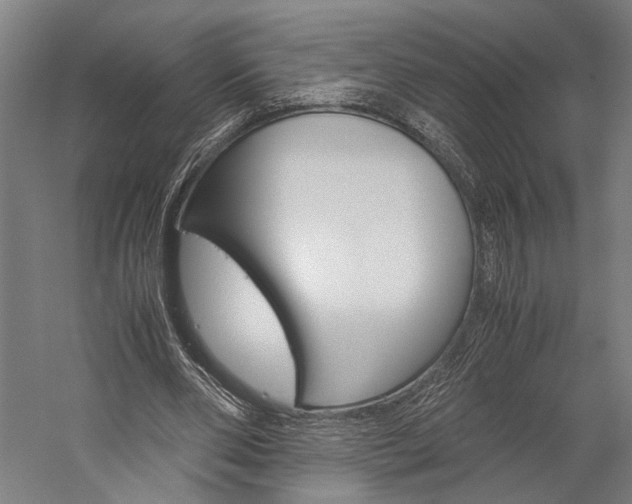 X0000060260486200510281013