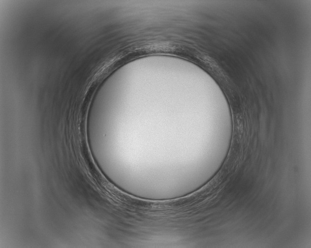 X0000060260487200510281013