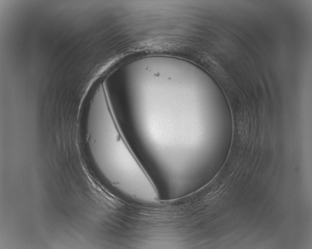 X0000060260488200510281013
