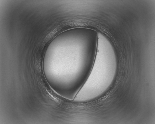 X0000060260489200510281013
