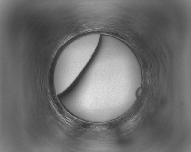 X0000060260491200510281013